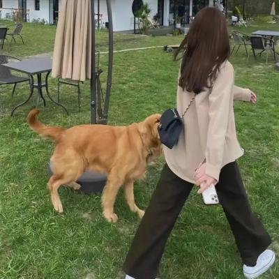 玛格丽特的厄运